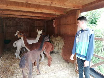 Bild 16 aus  Mainbaumhaus