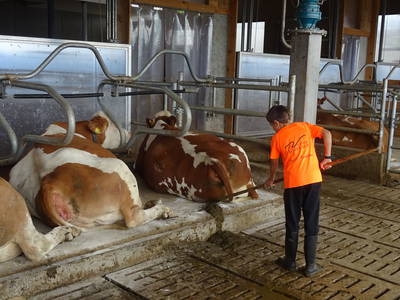 Bild 15 aus  Schötzerhof