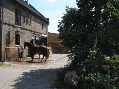 Bild 5 aus  Luisenhof Paretz