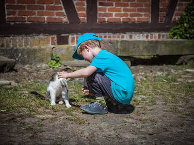 Bild 8 aus  Imkershof