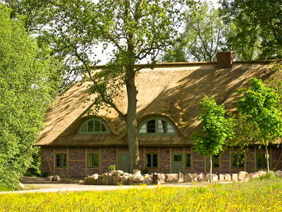 Bild 4 aus  Alte Scheune Krakvitz, Inh. Gisela Stolpe&Peter Hübner