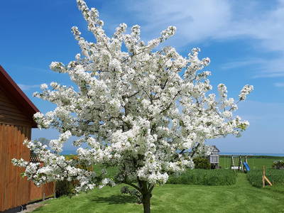 Bild 7 aus  Hof Grünberg