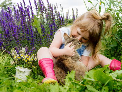 Bild 6 aus  Hanselhof 26