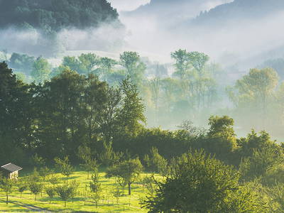 Bild 27 aus  Ferienhof Markhart