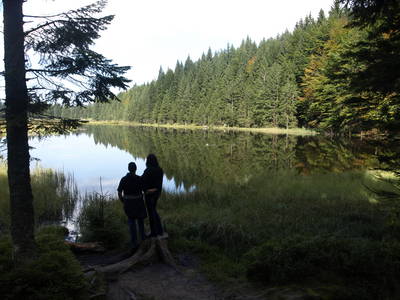 Bild 20 aus  Hütten und Ferienwohnungen im Bayerischen Wald ,  Nähe Arber u. Nationalpark Bayerischer Wald