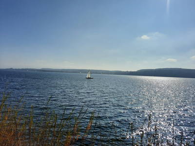 Bild 35 aus  Erholung - Natur pur - Urlaub auf dem Loyerhof
