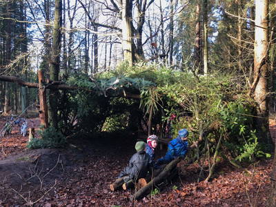 Bild 35 aus  Alter Bahnhof Vaale