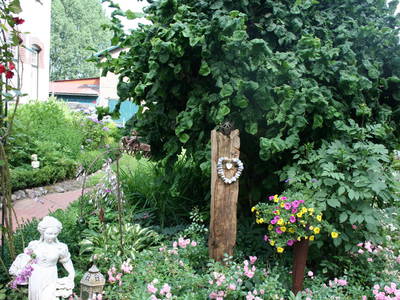 Bild 30 aus  Ferienhof Lucht