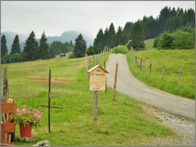 Bild 19 aus  Wendlarhof