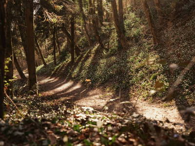 Bild 26 aus  Nature House