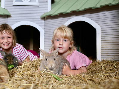 Kinder kommen in Kontakt mit Kaninchen