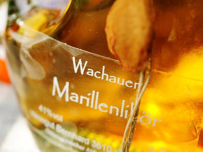 Bild 25 aus  Gästehaus - Winzerhof Bernhard