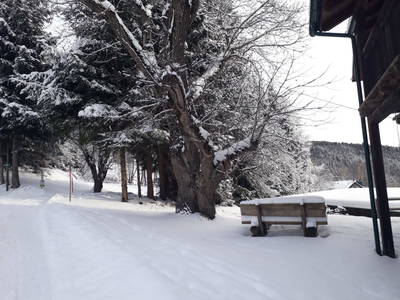 Bild 46 aus  Leitenbauer