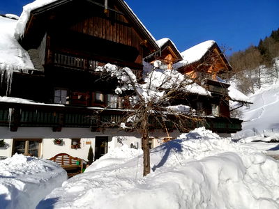 Bild 43 aus Auerhof