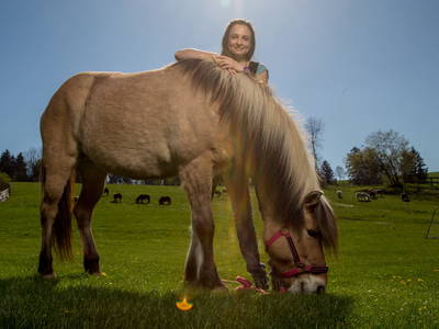 Bild 97 aus  Miniponyhof Wild