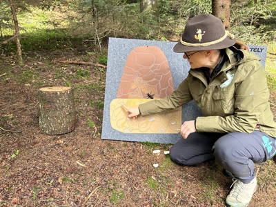 Bild 156 aus  Naturhof Innauer