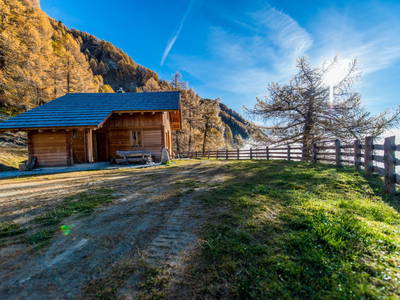 Bild 26 aus  Goldgräberhütte