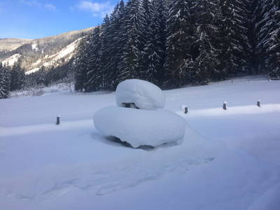 Bild 44 aus  Waldhäuslhütte