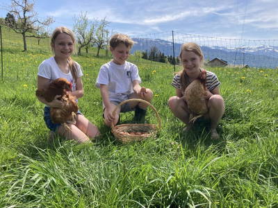 Bild 94 aus  Familie Nußbaumer 
