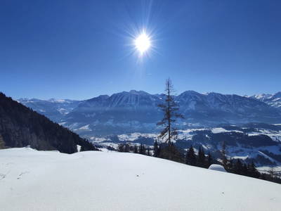 Bild 30 aus  Ferienwohnung Reicherhof