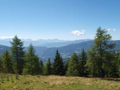 Bild 70 aus  Biobauernhof Walcherhof