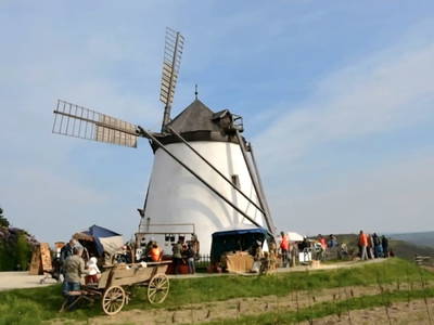 Bild 97 aus  Ferienhaus Weinviertel