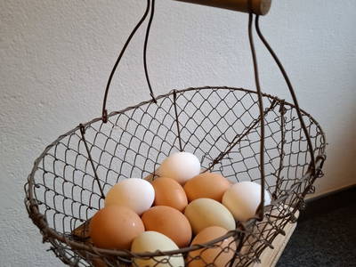 Eier von glücklichen Hühnern