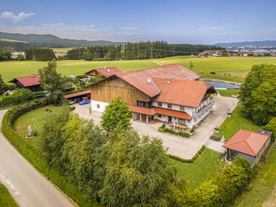 Bild 94 aus  Pointbauer