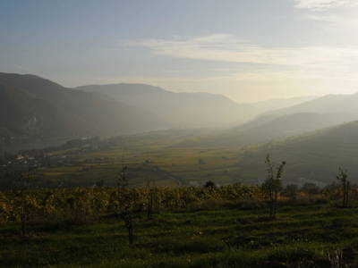 Bild 49 aus  Landhaus Furth 8