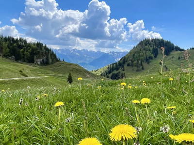 Bild 16 aus  Raineralm