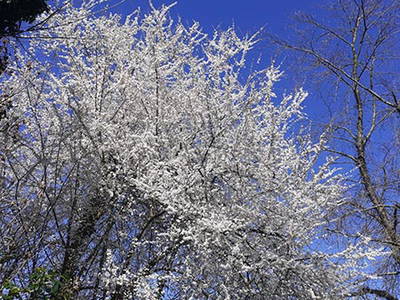 Bild 18 aus  Weberhof