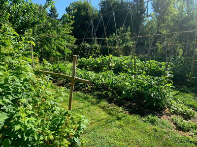 Bild 41 aus  Le Colombié - Ferienhäuser an der Dordogne mieten