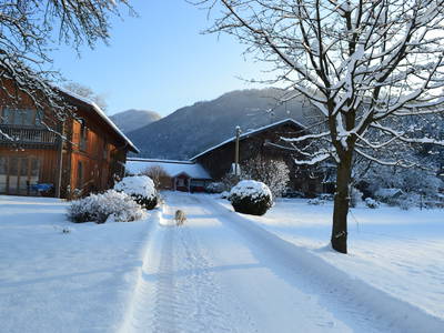 Bild 9 aus  Niederauer Hof