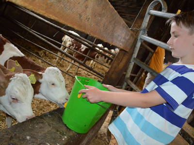 Bild 6 aus  Bauernhofpension Bals