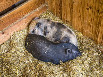 Bild 104 aus  Oberegghof