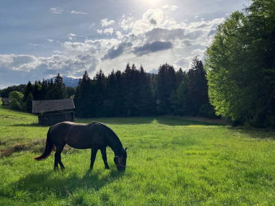 Bild 17 aus  Landhaus Eiter