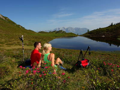 Bild 88 aus  Taxengut