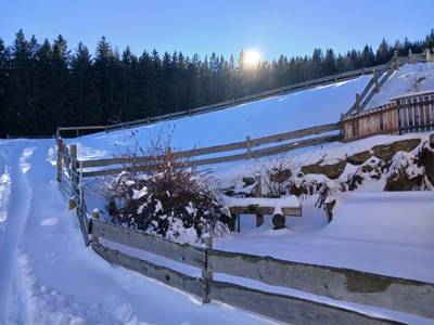 Bild 17 aus  Mörthandrä Hütte 