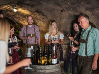 Bild 141 aus  Winzerhof Küssler, Weinviertel