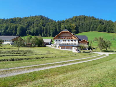 Bild 80 aus  Rußbachbauer