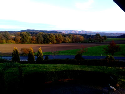 Bild 31 aus Blumentalhof