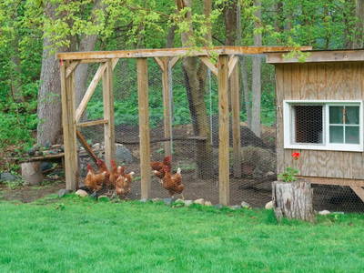 Bild 33 aus  Gästehaus Maria Rast