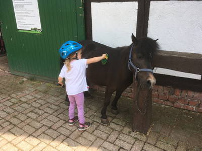 Bild 24 aus  Pension-Landhaus "Zum Ross"
