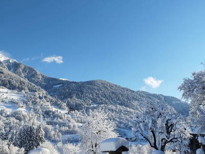 Bild 135 aus  Bio-Bauernhof Schweizerhof