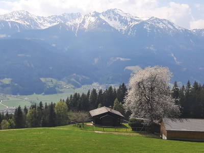 Bild 13 aus  Rotbacherhütte