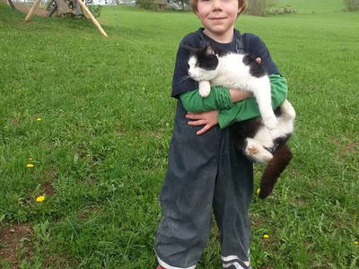 Bild 40 aus  Hirmhof