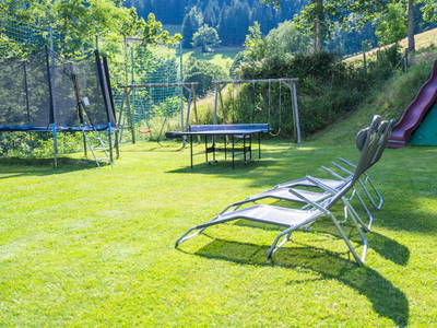 Bild 78 aus  Almbauer