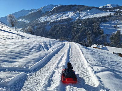 Bild 40 aus  Prädastenalm