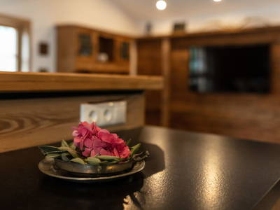 Bild 58 aus  Ferienhof Schmiedhäusl