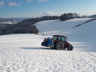 Bild 84 aus  Biohof Stadlbauer